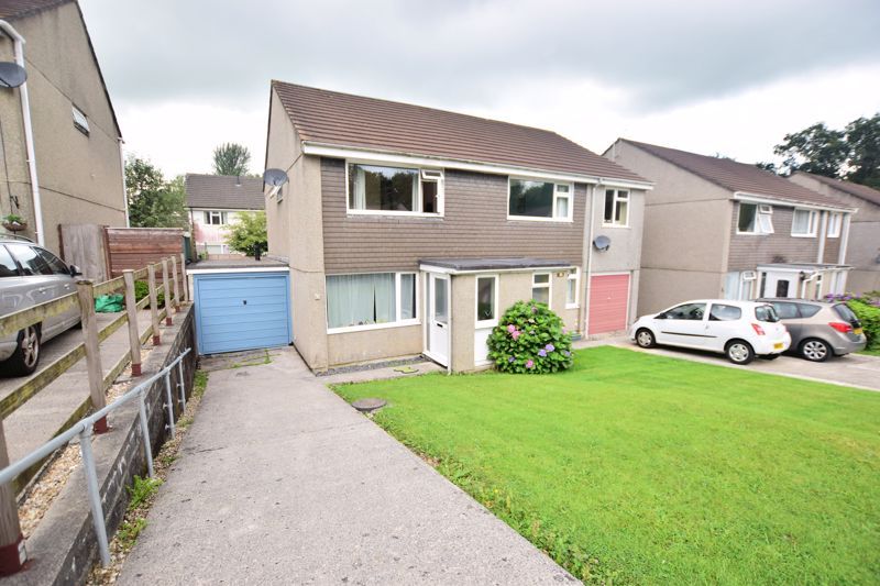 Sycamore Avenue, Tavistock PL19