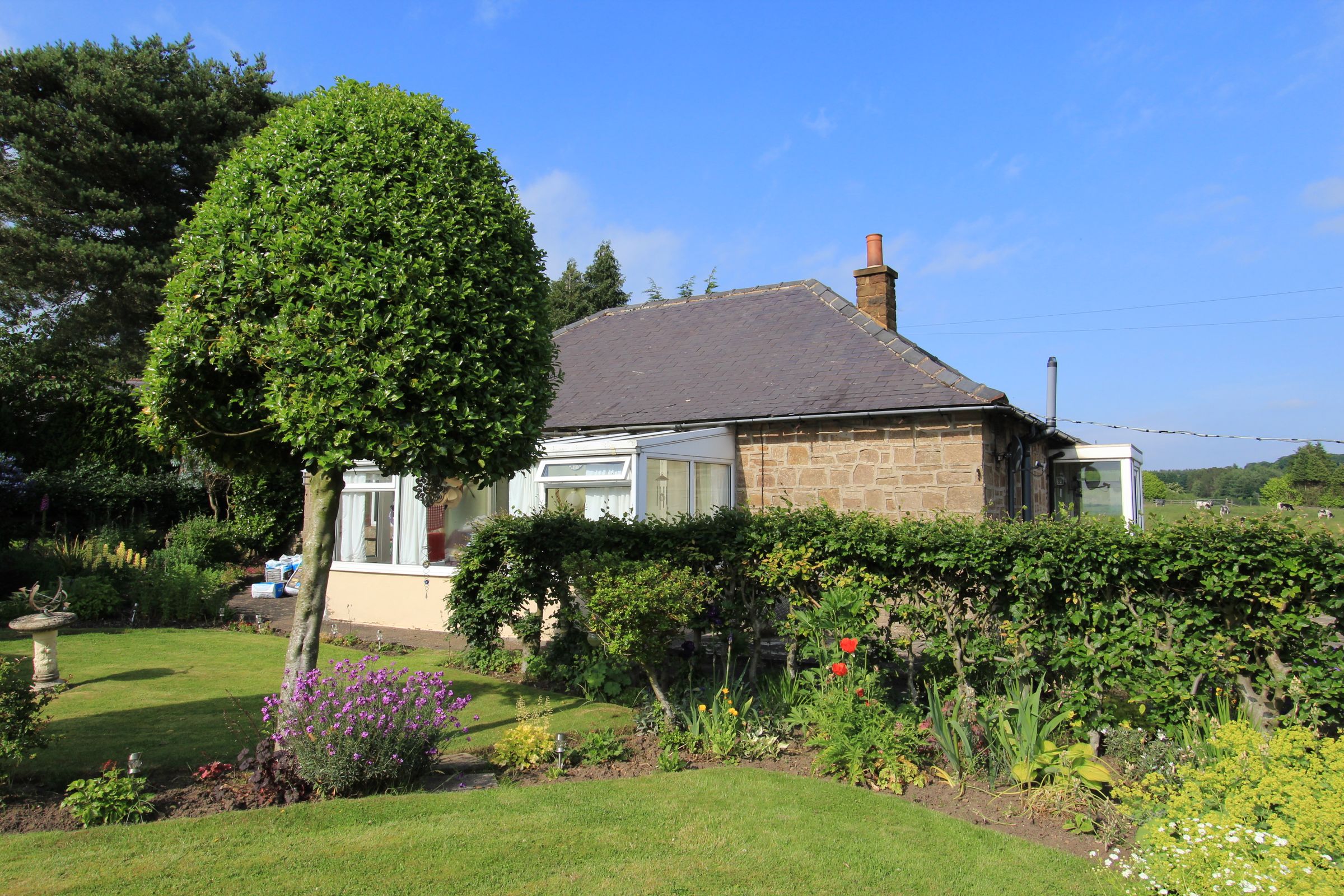 3 bed bungalow for sale in Lant Lane, Tansley DE4 Zoopla