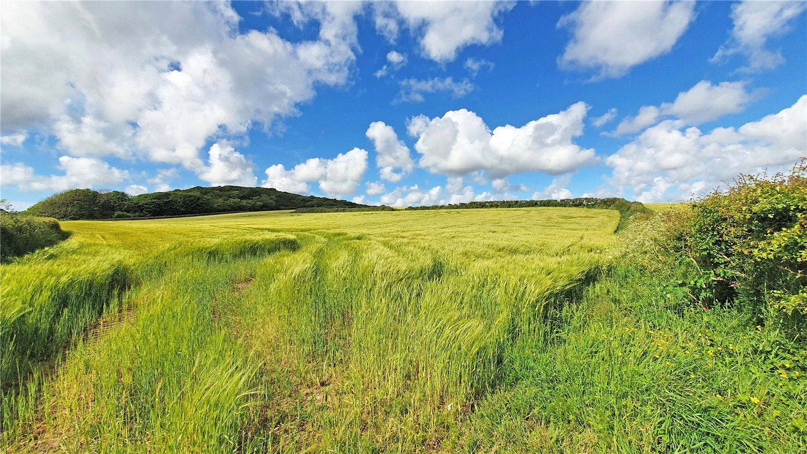 Land for sale in Paul, Penzance, Cornwall TR19 Zoopla