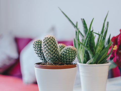 Kings Road, Reading RG1