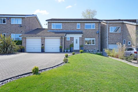 Rosamond Avenue, Bradway S17