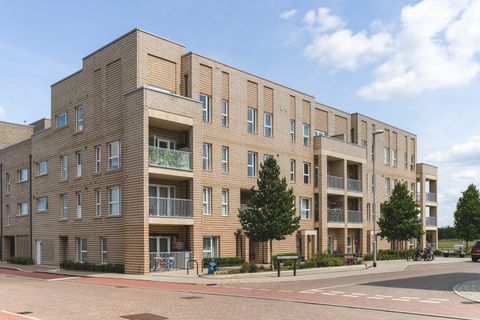 Falmouth Avenue, Cambridge, Cambridgeshire CB3