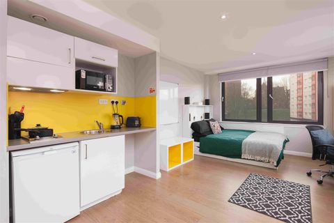 Havannah Street, Glasgow G4, Studio to rent
