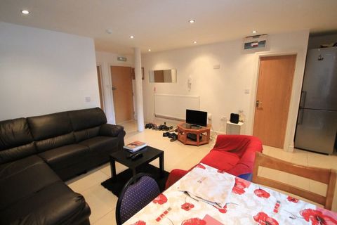 Miskin Street, Cardiff CF24 - More