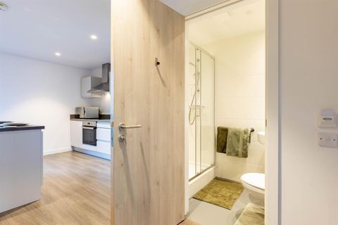 Willowbank Road, Aberdeen AB11, Studio to rent