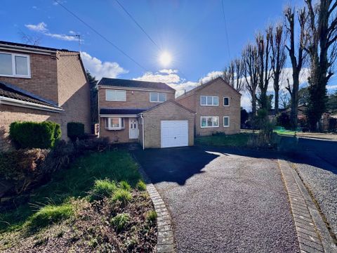 Wollaton Paddocks, Nottingham NG8