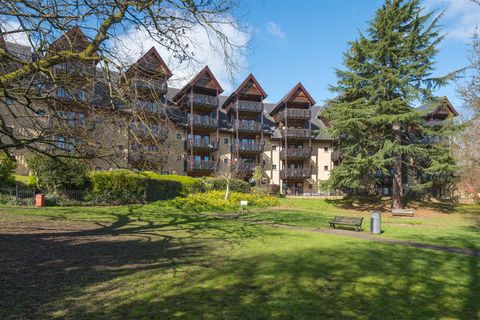 20 Knowle Lane, Ecclesall S11