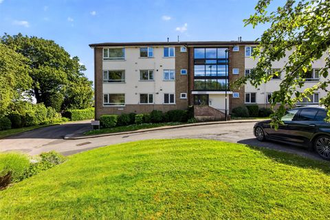 The Glen, Sheffield S10