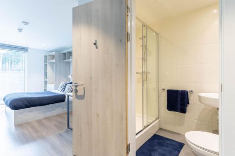 Willowbank Road, Aberdeen AB11, Studio to rent