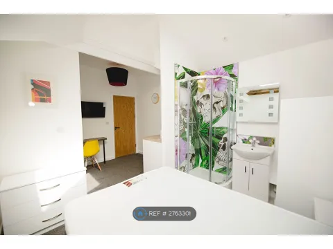 St Helens Avenue, Swansea SA1 - Widok 5