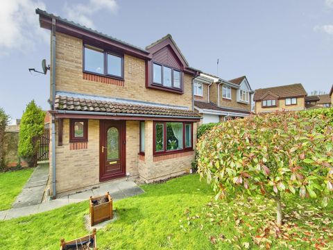 Silverburn Drive, Oakwood DE21