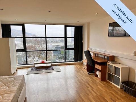 317 Castle Lofts, Castle Street, Swansea. SA1, Studio to rent