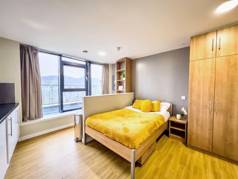 Potterrow, Edinburgh EH8, Studio to rent