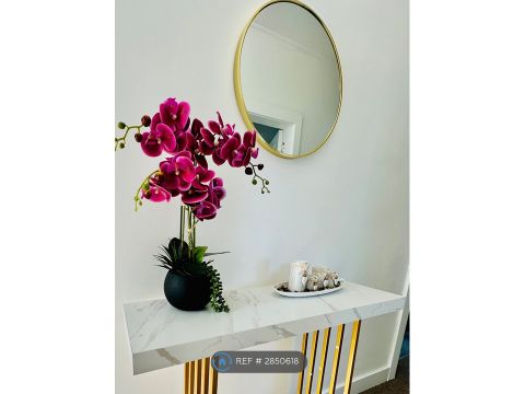 North Anderson Drive, Aberdeen AB16