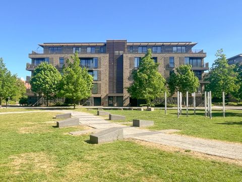 Lilywhite Drive, Cambridge CB4