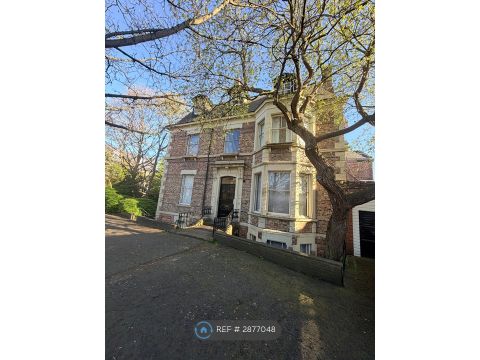 Clayton Road, Newcastle Upon Tyne NE2, Room to rent