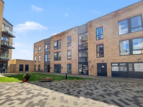 Flat 203, Bradley House, 10 Carmen Beckford Street, Bristol, Bristol, Gb BS1