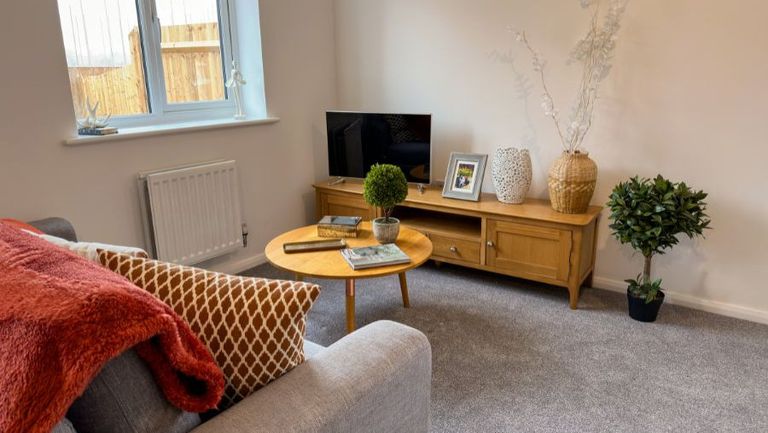 Property 2 of 9. Plot Image