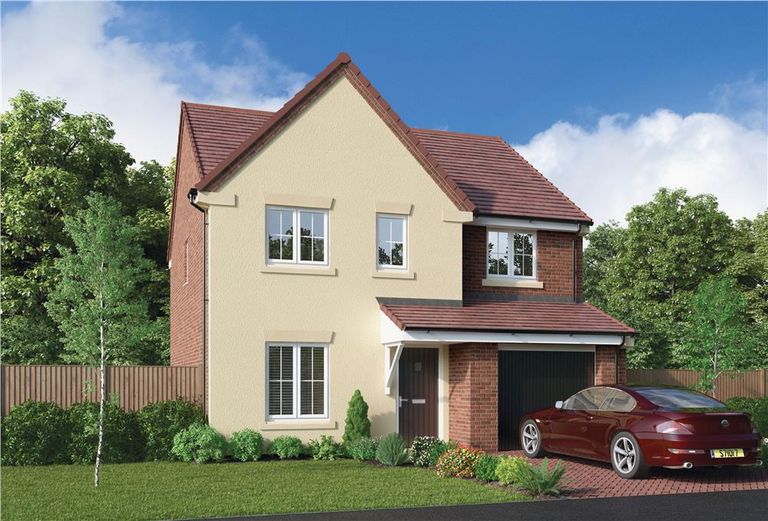Property 1 of 13. Representative Image