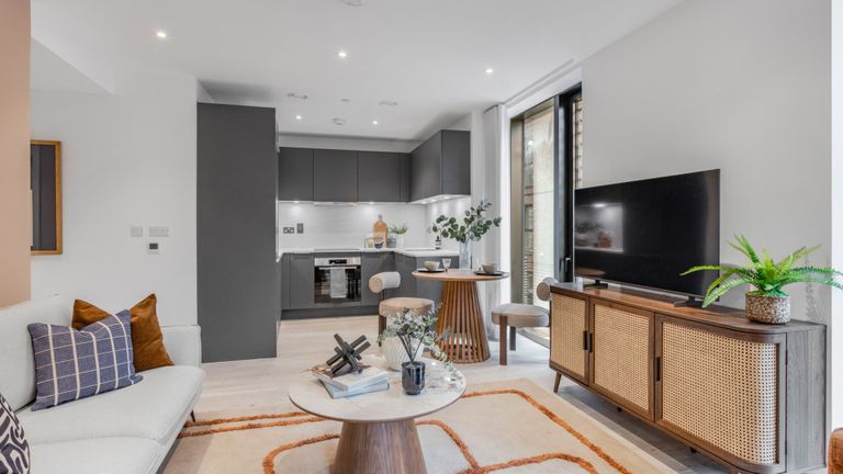 Property 1 of 20. Plot Image