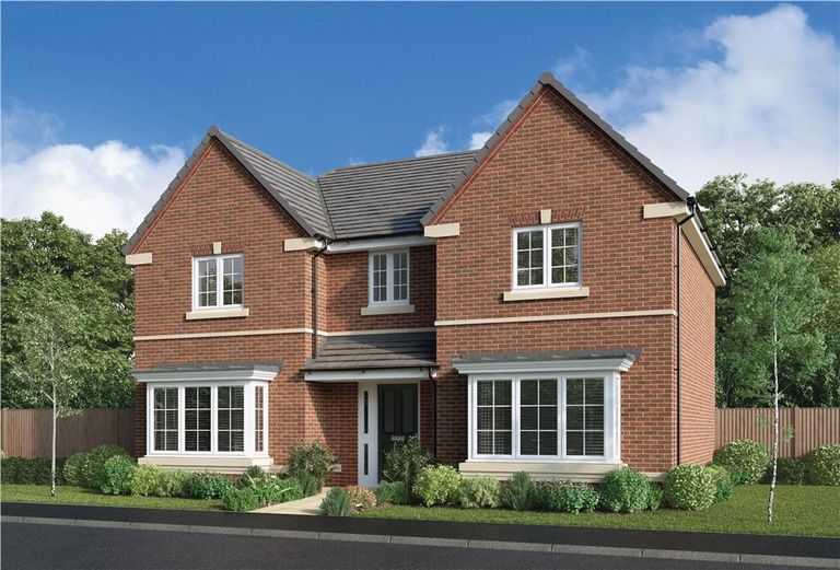 Property 1 of 14. Representative Image
