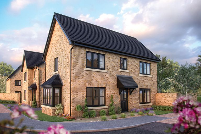 Property 2 of 9. Ds01758 Poundl [11] Spruce X307 Plot 88_Web