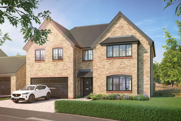 Property 1 of 18. CGI
