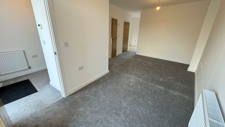 Property 3 of 12. Plot Image