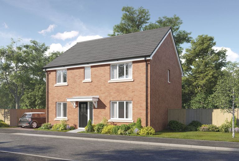 Property 1 of 13. CGI