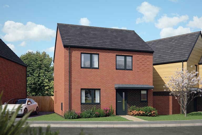Property 1 of 14. CGI