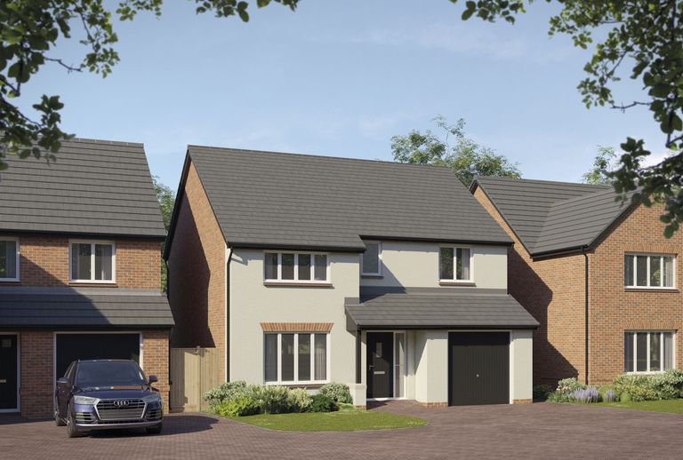Property 2 of 16. CGI