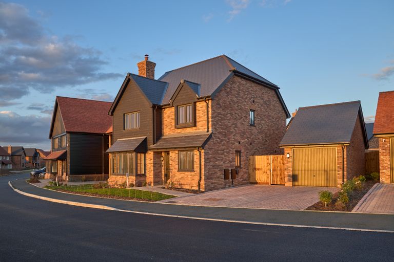 Property 1 of 14. Primrose