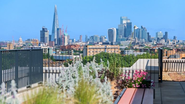 Property 1 of 7. Plot Image