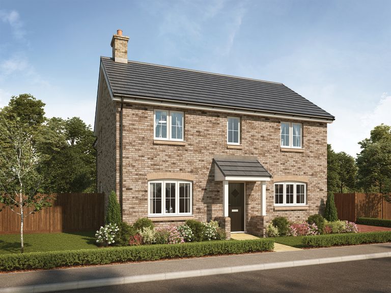 Property 1 of 1. CGI