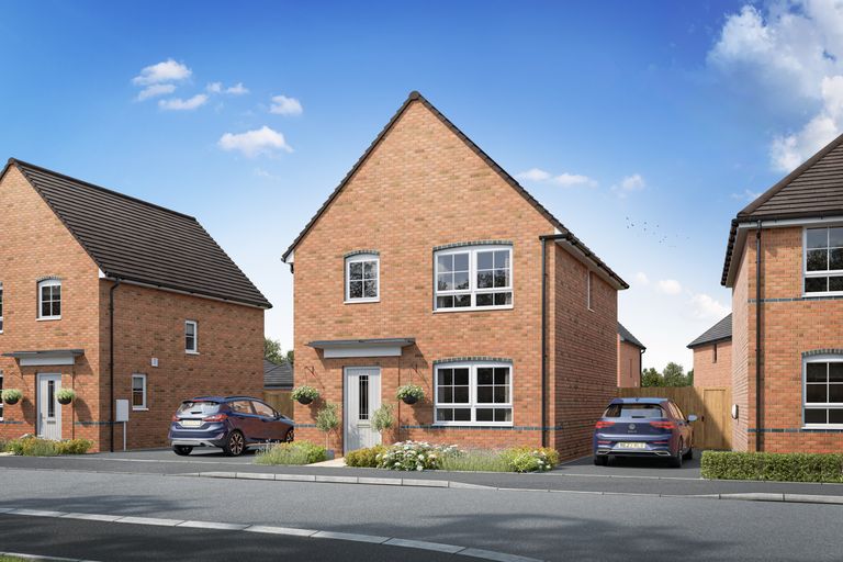 Property 1 of 8. Collaton CGI