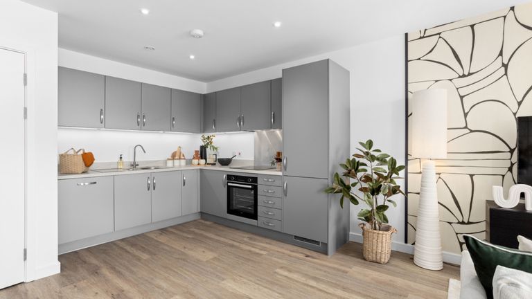 Property 2 of 8. Plot Image