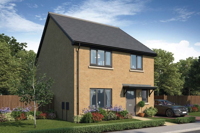 Property 1 of 12. CGI