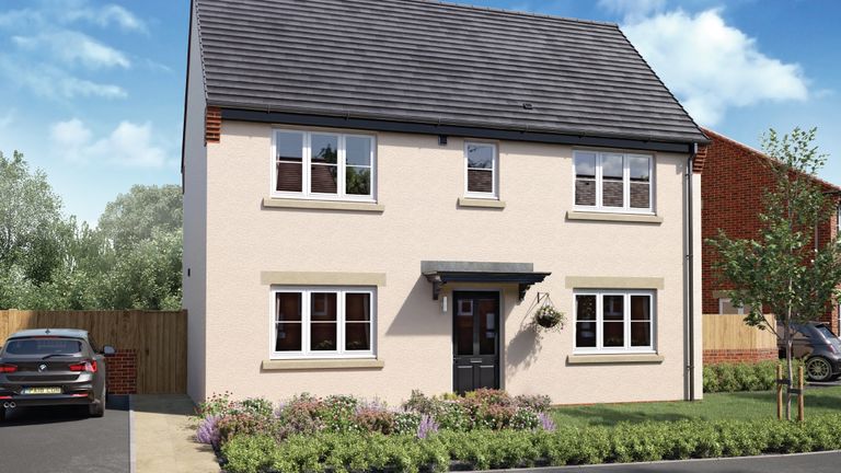 Property 1 of 9. CGI 