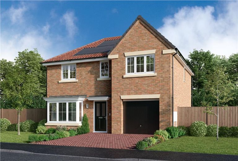 Property 1 of 14. Representative Image