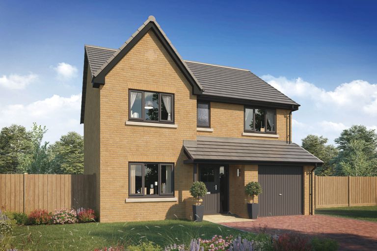 Property 1 of 12. CGI