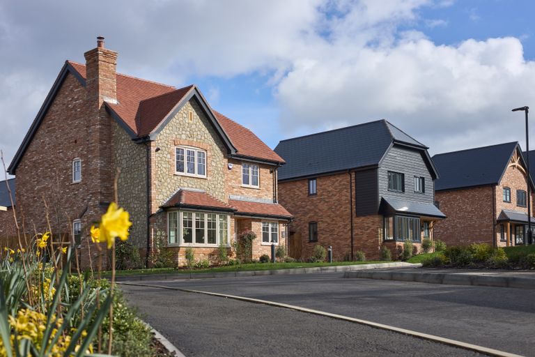 Property 1 of 19. 25 Primrose