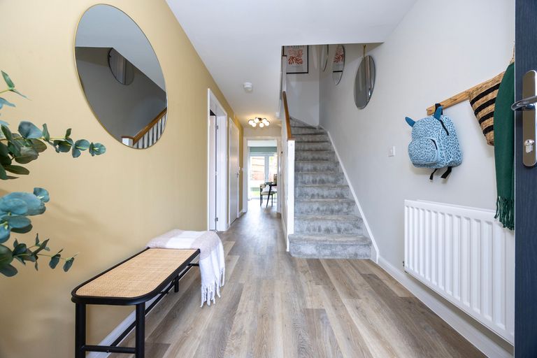 Property 2 of 10. Cypress_17