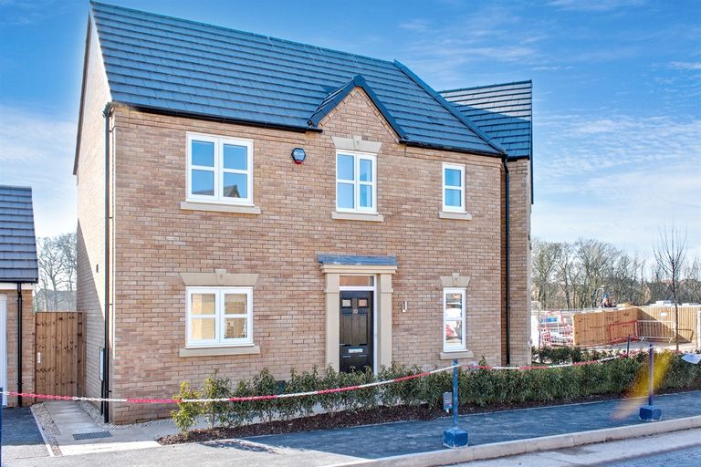 Property 1 of 18. (Main)