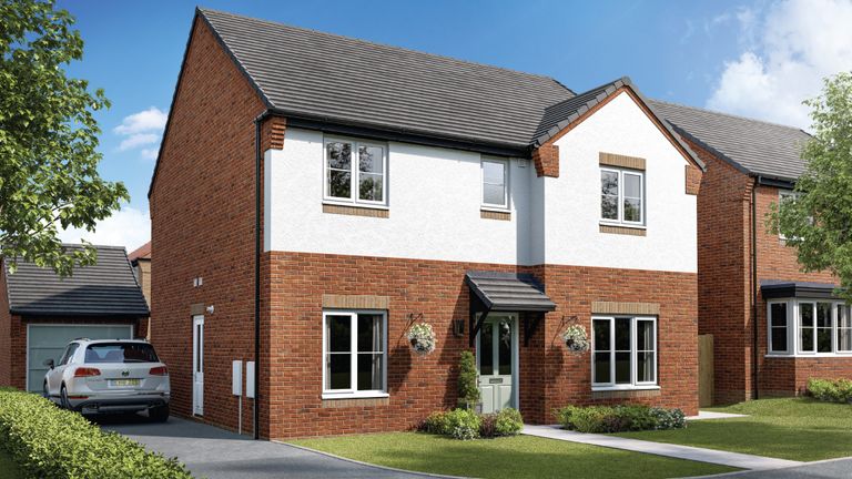 Property 3 of 12. CGI