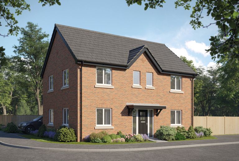 Property 2 of 11. CGI
