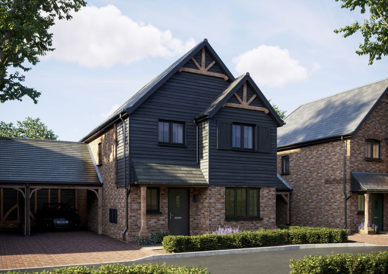 Property 1 of 16. Hazel CGI