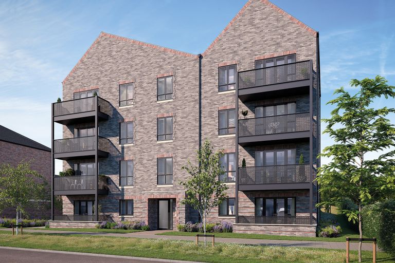 Property 1 of 1. CGI