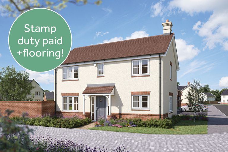 Property 1 of 8. Vdsw Lh Mbrook Sunflower 192