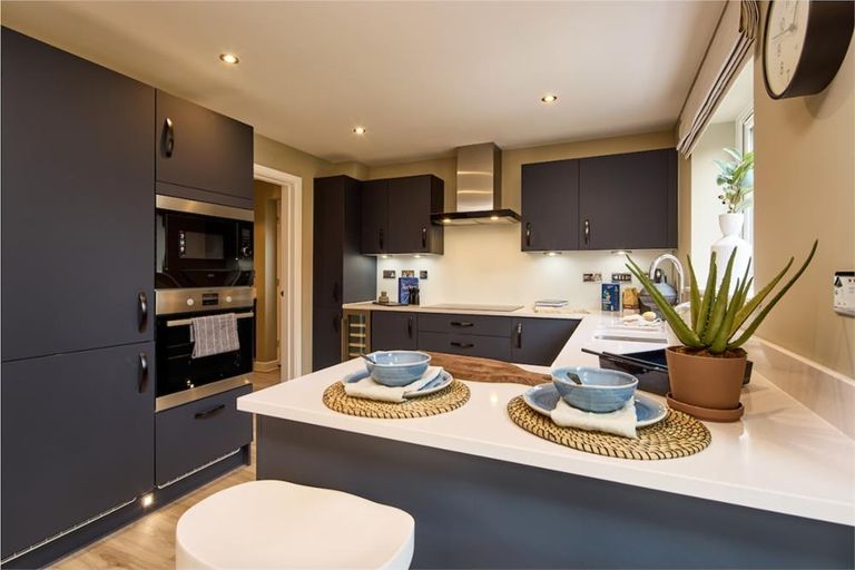 Property 3 of 18. Representative Image