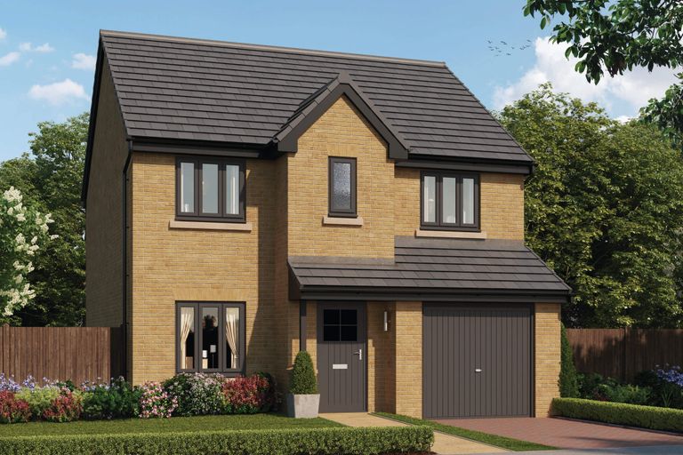 Property 1 of 12. CGI